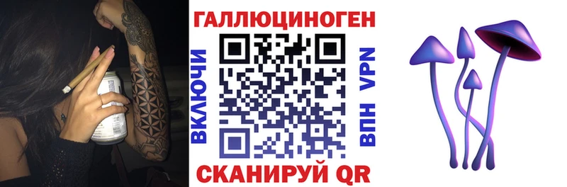 Галлюциногенные грибы Psilocybe  Купить  Гдов 